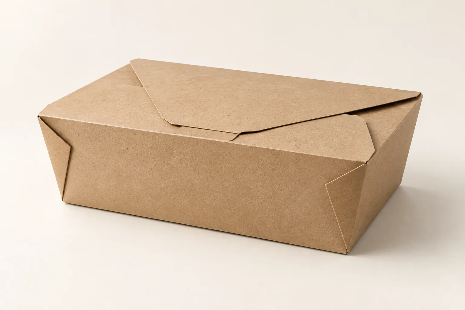 Takeaway Food Boxes